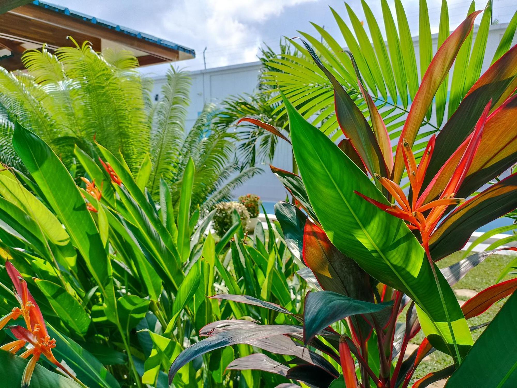 Apartmán Morona Flats & Pool - 70 M2 Iquitos Exteriér fotografie